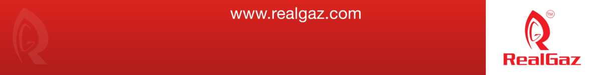 RealGaz LLC