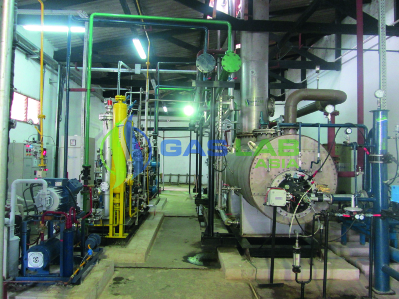 Directory Listing SS Gas Lab Asia Pvt. Ltd.
